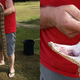 Illustration for article titled The Biggest Rattlesnake Youll Ever See?